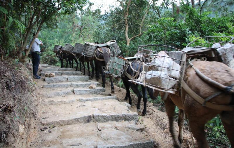 Transporting materials by mule 