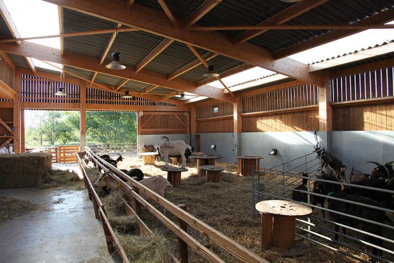 Ferme pedagogique de Rieulay  élevage caprins et fromagerie