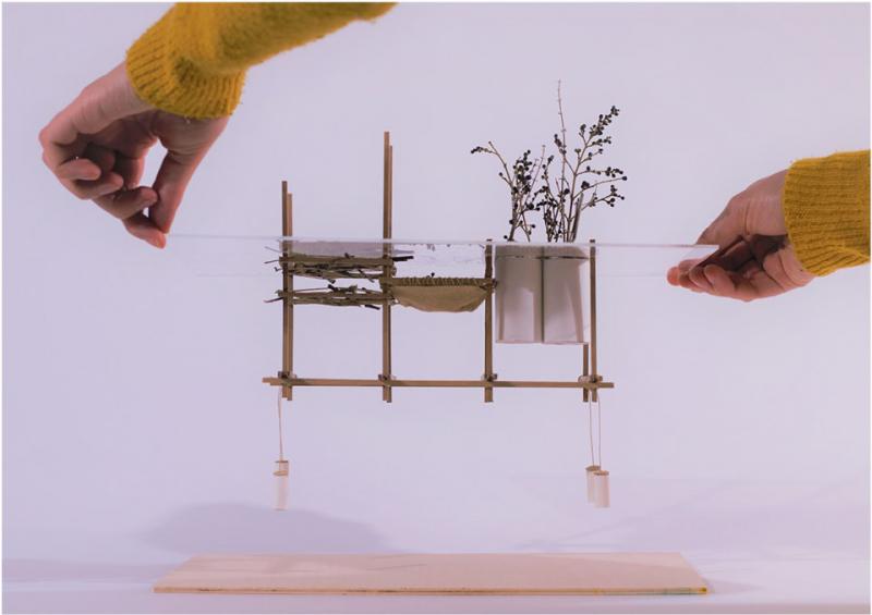 Noe-maquette