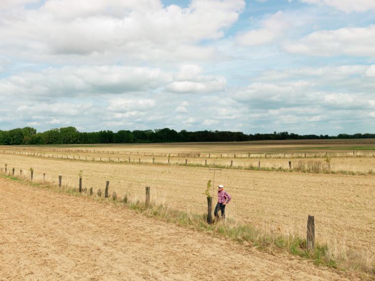 Houdilcourt, Ardennes, août 2019. Série Hyperlendemains, 2019-20 © Bertrand StoflethHoudilcourt, Ardennes, août 2019. Série Hyperlendemains, 2019-20 © Bertrand Stofleth