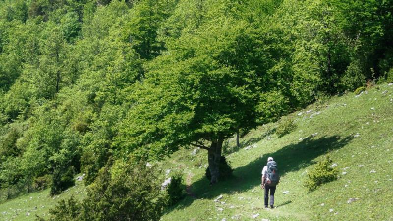 marcheur sur le chemin de Saint Jacques