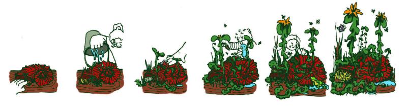 Cornutopia, le conte 