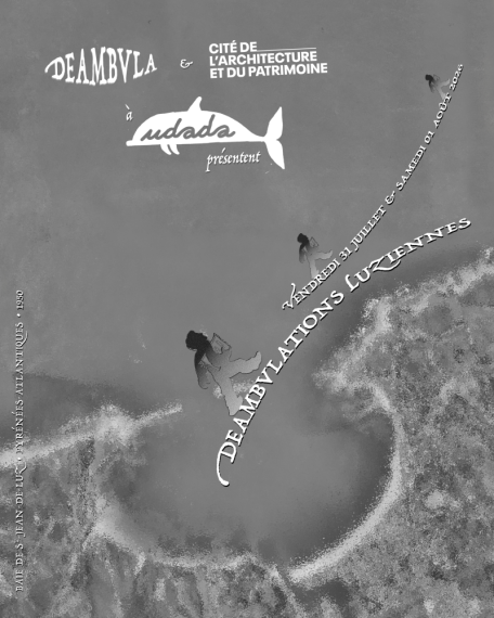 deabvlations_luziennes_poster_1950